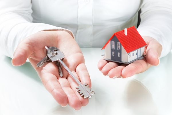 Fases de un Proyecto de Construcción Llave en Mano: Desde la Planificación hasta la Entrega